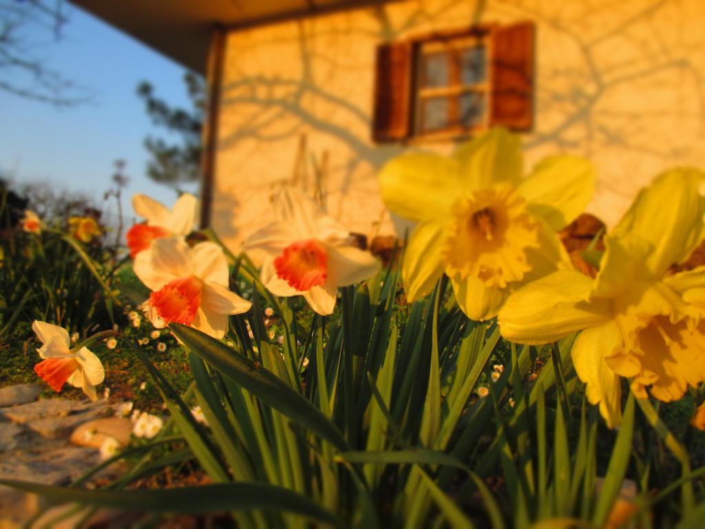 Bed And Breakfast Casale Isorella San Gemini Kültér fotó