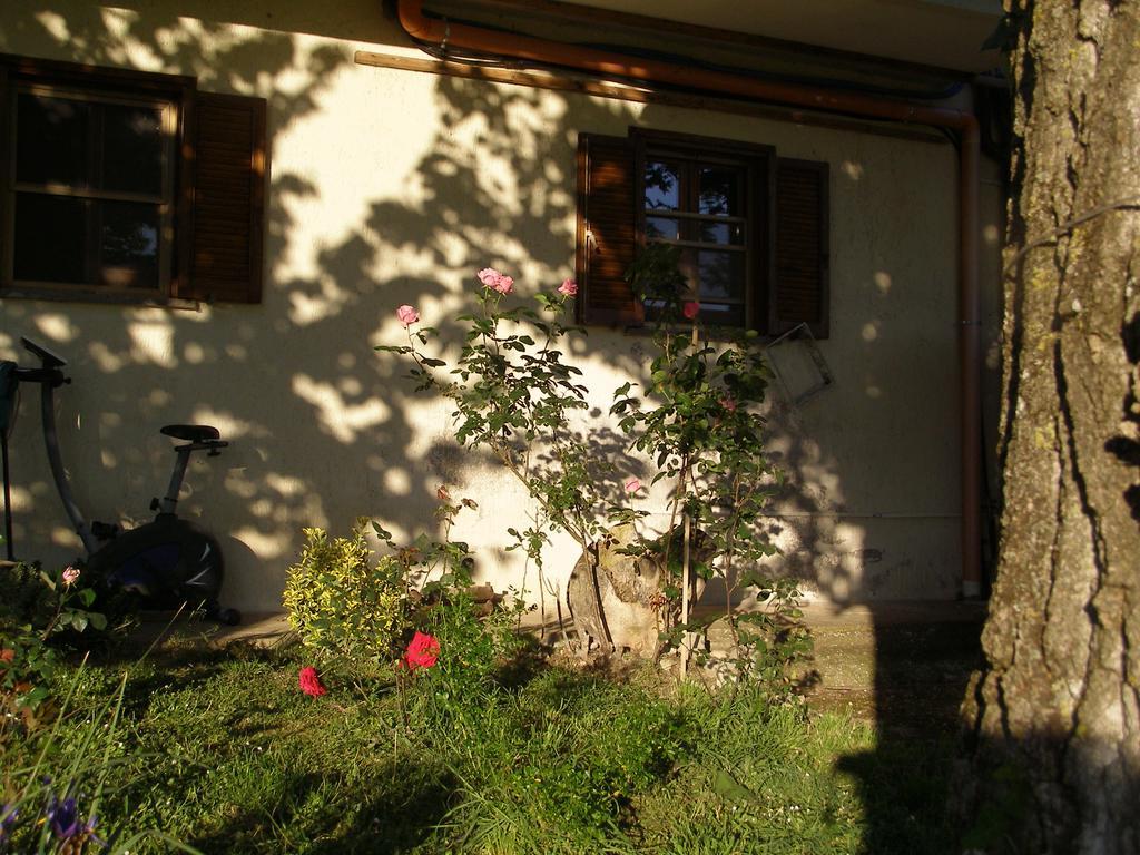 Bed And Breakfast Casale Isorella San Gemini Kültér fotó