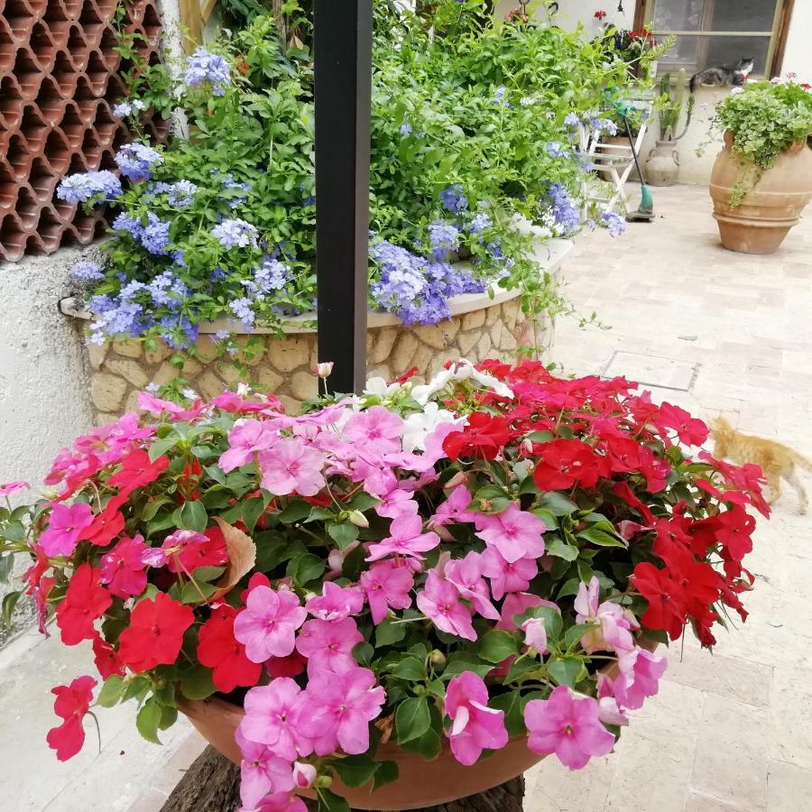 Bed And Breakfast Casale Isorella San Gemini Kültér fotó